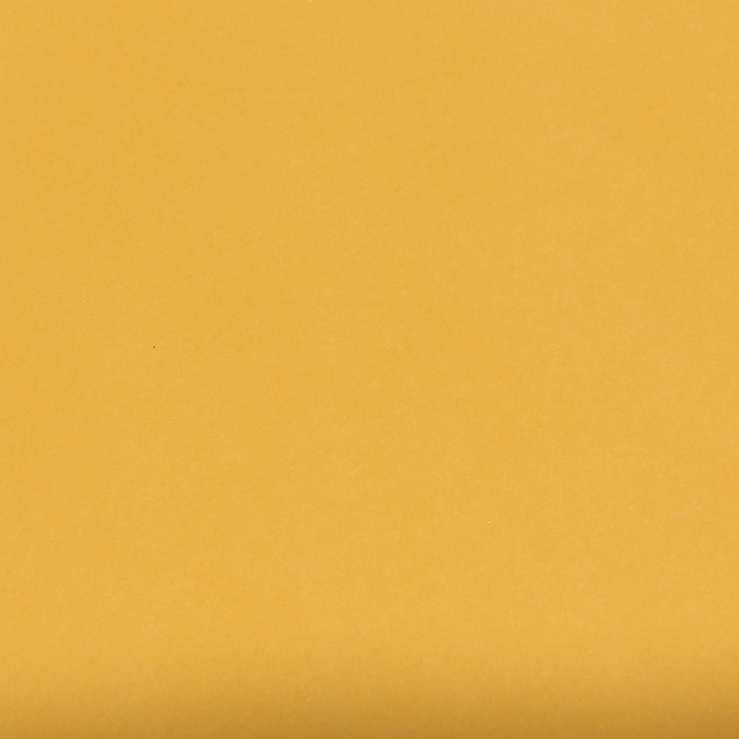Goldenrod Yellow  - Smooth Plain Cardstock - 12