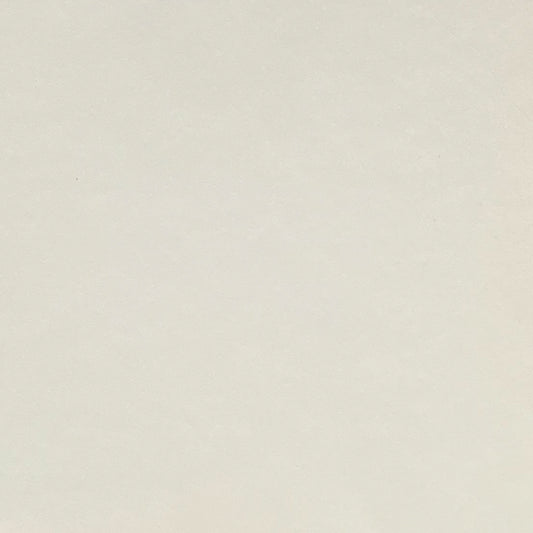 ivory white smooth plain cardstock