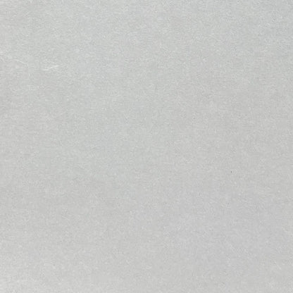 light grey smooth plain cardstock